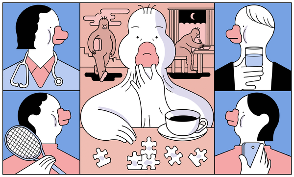 مشغله های اردک